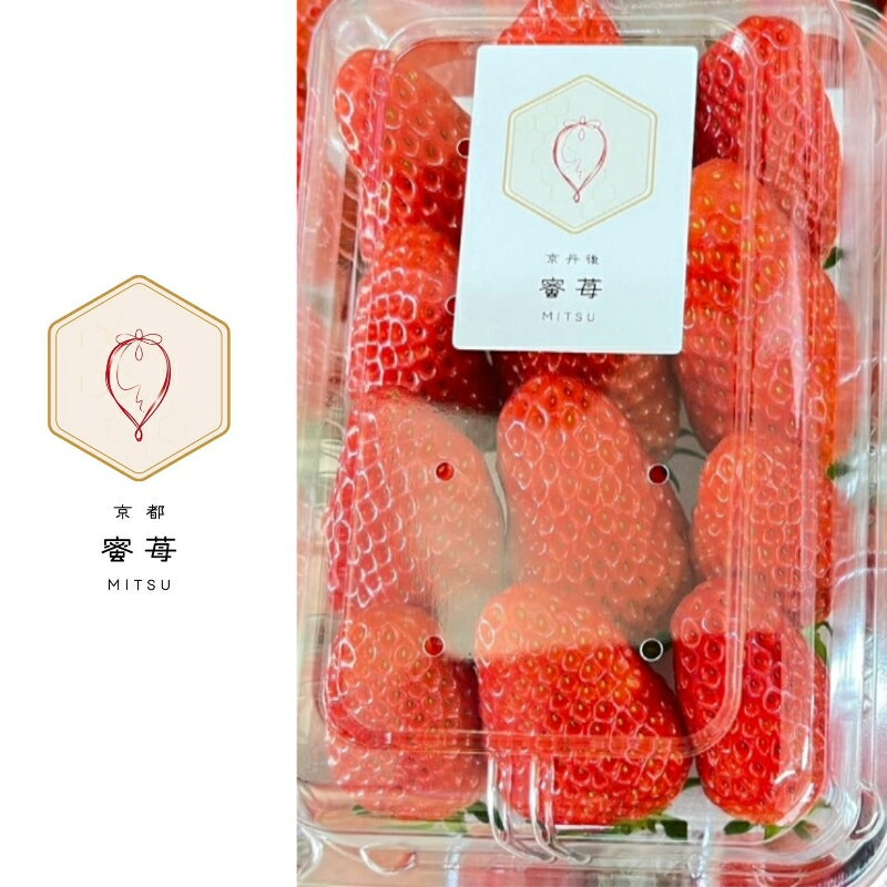 【ふるさと納税】【先行予約】2026年産 京都 蜜いちご（あきひめ）（大サイズ（12粒）×1箱）約600g（2026年1月上旬～発送）フルーツ あきひめ 蜜苺 果物 デザート ギフト 数量限定 ふるさと納税 いちご