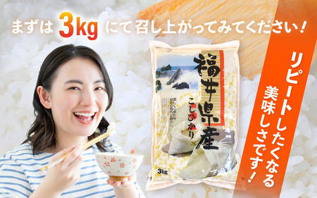 令和6年産 米 3kg 精米 コシヒカリ 福井県産《14日以内に出荷予定》【白米 3キロ こしひかり 少量 お米 人気品種 産地直送 新生活 kome】 [e66-a003]