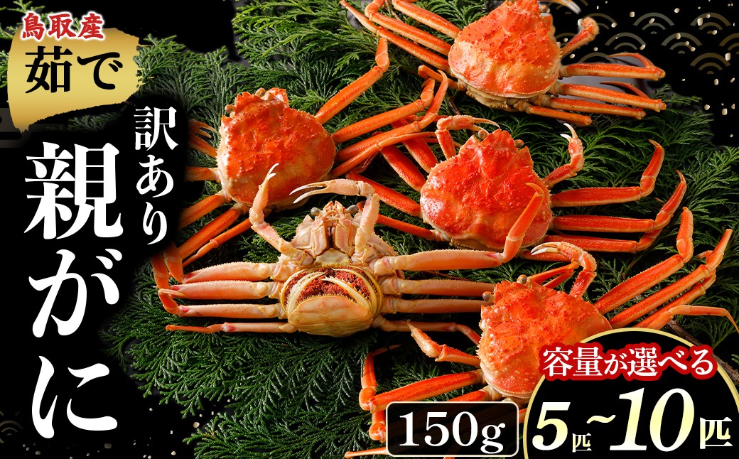 
                  【年内発送】【訳あり】【茹で親がに 150g 5〜10匹】選べる容量！ 年内発送！カニ ボイル 親がに 親ガニ ズワイガニ カニの甲羅 カニ味噌 内子 外子 蟹身 かにみそ 海鮮 国産 松葉ガニ 生活応援 大人気  期間限定 日本海 せこがに せいこがに
                
