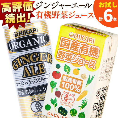 【ふるさと納税】お試し ジンジャーエール 250ml × 4缶 野菜ジュース 125ml × 2本 《30日以内に出荷予定(土日祝除く)》 徳島県 上板町 送料無料 ジュース 炭酸 飲料 ジンジャー 生姜 有機JAS認証 無糖 国産有機生姜使用 野菜 有機野菜 お取り寄せ おためし