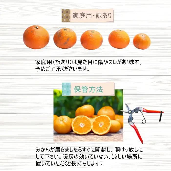 有田育ちの ご家庭用 完熟 有田みかん 5.2kg(5kg+200g) 農家直送 わけあり 訳あり ※2026年10月上旬から下旬頃に順次発送予定 / 温州みかん みかん フルーツ 果物  柑橘 くだ