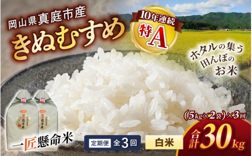 
                  ＜定期便 全3回＞令和8年産 真庭市産きぬむすめ 白米 10kg(5kg×2袋）×3回 / お米 国産 岡山県 米 人気 ブランド 2026年産 【tkns-tkb016】
                