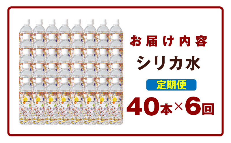【定期便】ALOHAS シリカ水 合計20L (500ml×40本入り)×全6回 099Z363