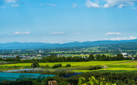 【令和7年産先行予約】庄内柿 Mサイズ以上 5kg　マルイチ農園