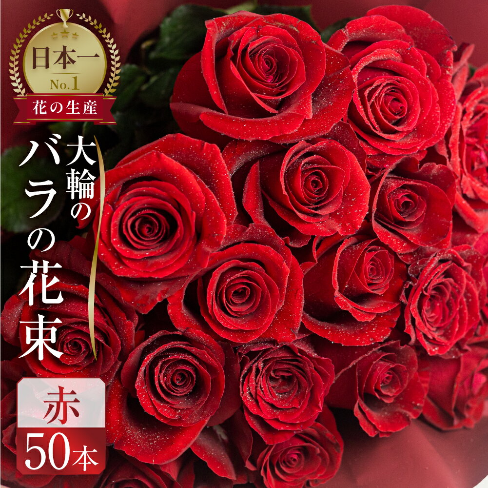 【ふるさと納税】バラ 花束 大輪 赤 50本 (40cm) ブーケ 薔薇 ローズ 生花 観賞用 プレゼント 花 ギフト 誕生日 植物 フラワー 土壌栽培 産地直送 田原市 人気 切り花 切花