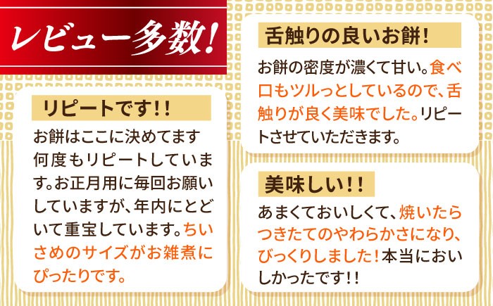 もち 餅 生もち 杵つき 正月 おすすめ 人気 朝ごはん おもち