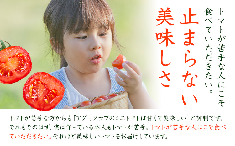 ミニトマト 約2kg 氷川アグリクラブ トマト 熊本《2月上旬-4月末頃出荷》熊本県 氷川町 野菜 熊本県産 サラダ プチトマト 国産