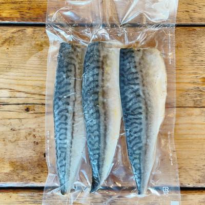 ふるさと納税 小田原市 極みの骨取りトロ塩鯖 　3枚1パック【普段使いに人気の焼き魚!骨も取ってあるのでお子様も安心です♪】 |  | 01