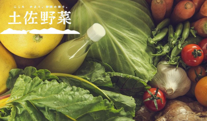 
『定期便 全12回』無農薬生姜200gと旬の野菜の詰め合わせ【土佐野菜】
