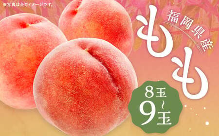  桃 8玉～9玉 福岡県産 産地直送 フルーツ 果物 もも ピーチ 果物 フルーツ お取り寄せ 【2026年6月上旬～7月下旬発送】