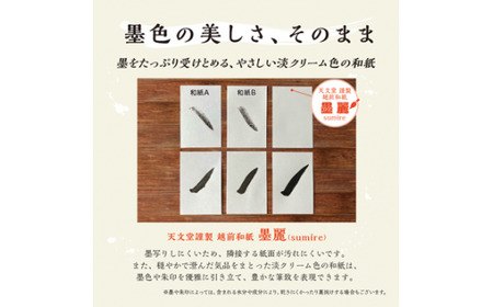 蔵前天文堂　御朱印帳「灯」（あかり） ／ 御朱印 朱印帳 和紙 じゃばら合掌製本 伝統 蔵前天文堂謹製和紙 熟練の技 職人 シック シンプル スタイリッシュ 埼玉県 No.022