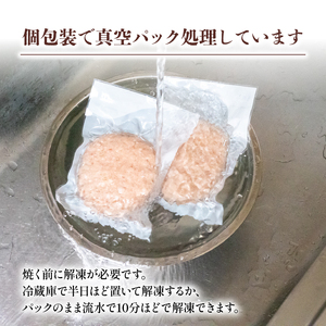 ハンバーグ 四万十ポーク 入り 2.4kg 200g 12個入 化学調味料 不使用 ﾊﾝﾊﾞｰｸﾞ 保存料 無添加 ﾊﾝﾊﾞｰｸﾞ 高知県 須崎市 ﾊﾝﾊﾞｰｸﾞ 合挽き ﾊﾝﾊﾞｰｸﾞ肉汁たっぷり 