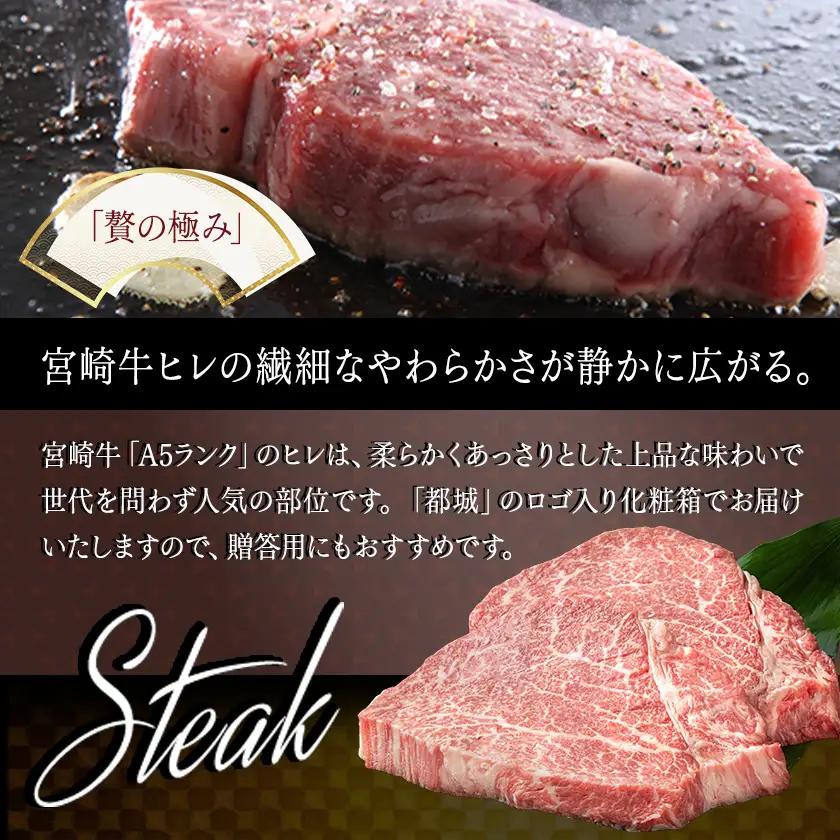 宮崎牛ヒレステーキ(A5)100g×2枚≪みやこんじょ特急便≫〔18-0103-Q〕