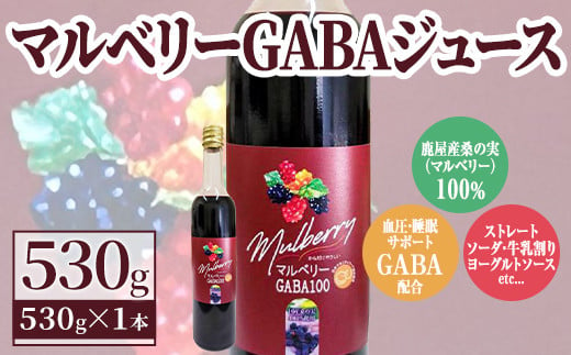 
            2401-1 マルベリー　GABAジュース　530ｇ入り　１本　鹿屋産　桑の実100％使用 【常温 常温保存 桑 桑の実 マルベリー ベリー ジュース 果汁 飲料 GABA アミノ酸 鹿屋 鹿児島】
          