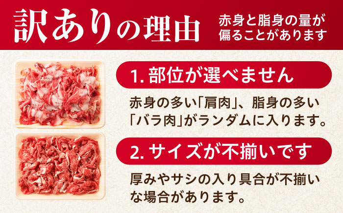 【不揃い訳あり・部位おまかせ】佐賀牛 切り落とし 肩orバラ 600g×2 計1.2kg 吉野ヶ里町 [FDB001]