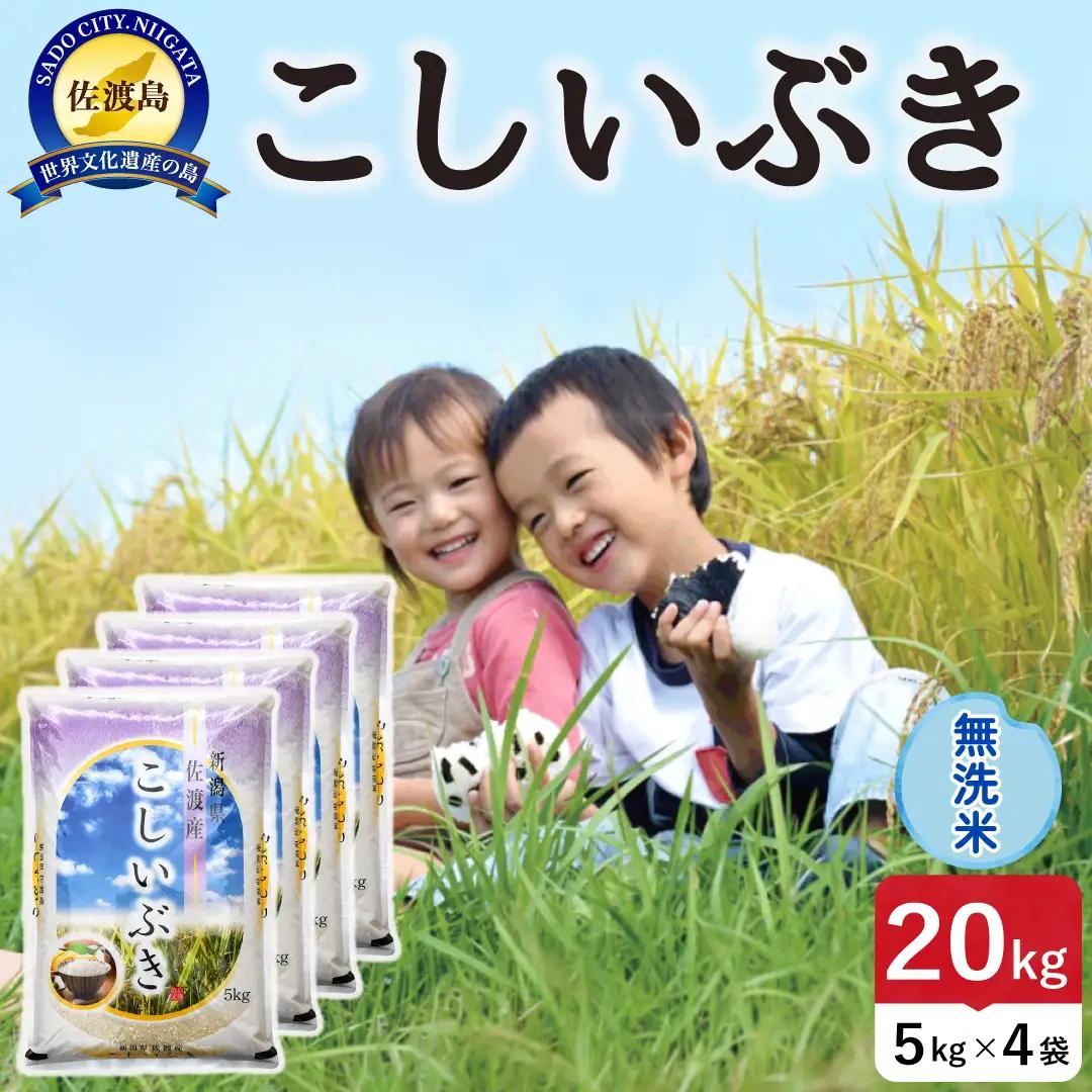 令和8年産 佐渡島産こしいぶき 無洗米20kg 195962-152602