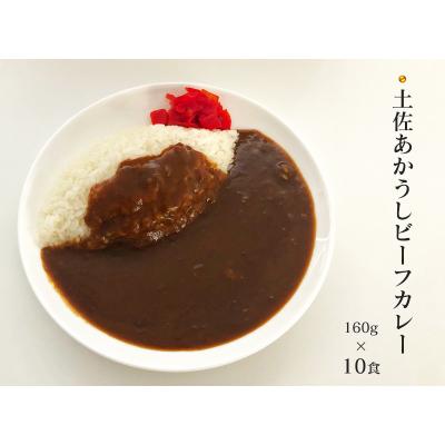 ふるさと納税 高知市 高知土佐あかうしビーフカレー　10食セット【AF053】