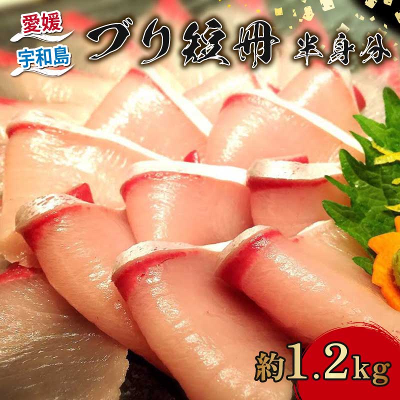 【ふるさと納税】 ブリ 冊 半身分 約 1.2kg 短冊 有限会社 アクアプラス ブランド魚 鰤 ブランド ぶり buri 刺身 刺し身 お刺身 お刺し身 さしみ 海鮮丼 丼 丼ぶり どんぶり おすすめ 産地直送 真空パック お手軽 便利 海鮮 水産 加工品 冷蔵 国産 愛媛 宇和島 D030-090003