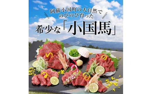【阿蘇牧場】熊本と畜 小国育ち 小国馬 地元産 馬刺し 阿蘇 熊本 小国 国産 阿蘇の大地 放牧馬 霜降り サシ 脂の旨み とろける 小分け 馬肉 200g 馬刺し醤油 150ml 専用醤油 七福醤油