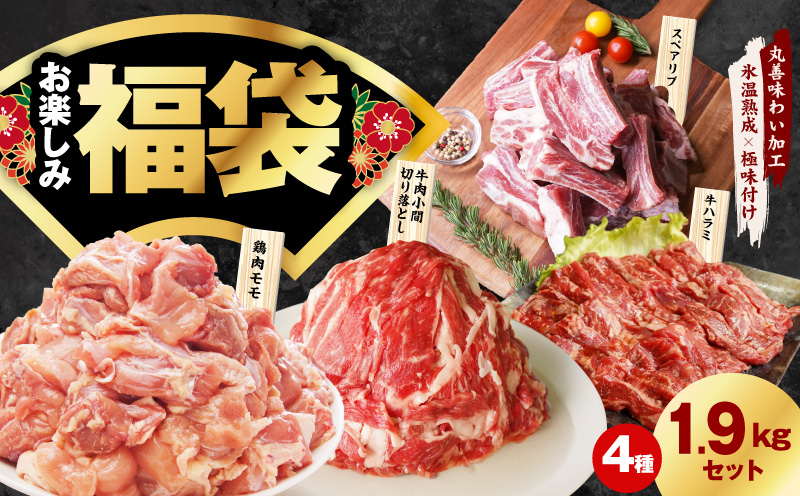 肉福袋 4種 1.9kg 焼肉セット（牛肉 切り落とし／牛ハラミ／豚肉 スペアリブ／鶏肉）【氷温熟成×極味付け 焼くだけ 食べ比べ ふくぶくろ お楽しみ 簡単調理 大阪 泉佐野 大阪府 泉佐野市】