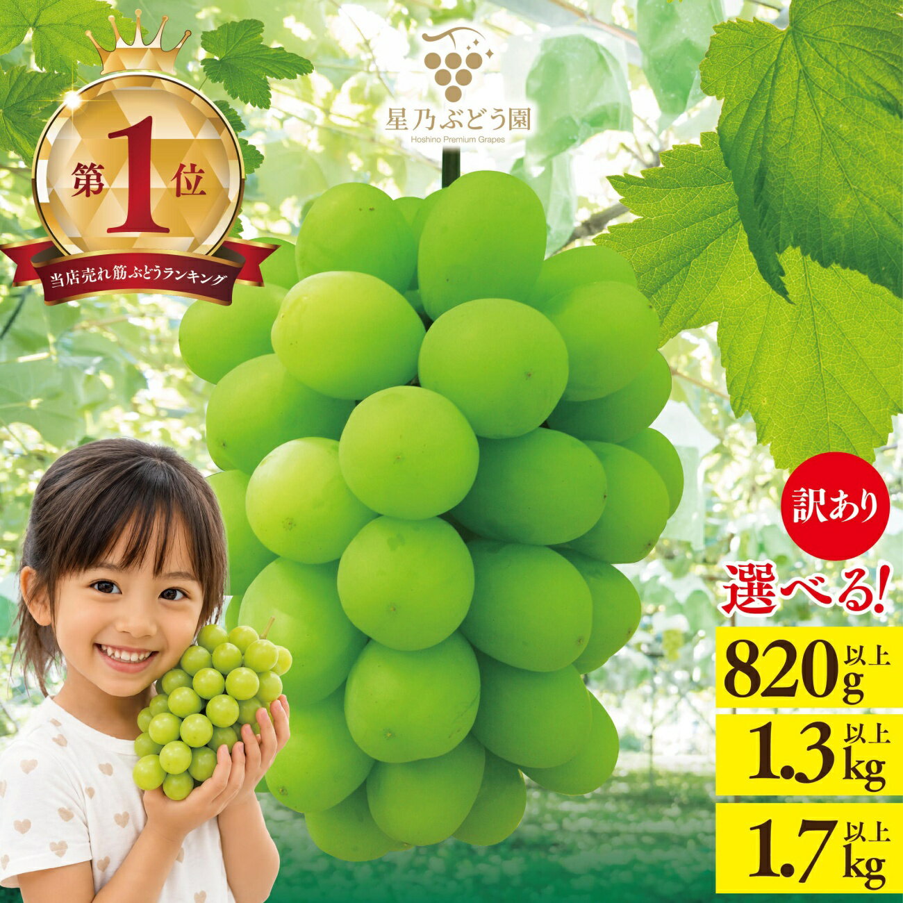 【ふるさと納税】《期間限定フェスタ対象》_【訳あり】粒の大きさが不揃い 星乃シャインマスカット　1.3kg以上/1.7kg以上/820g以上_ シャインマスカット ぶどう 葡萄 ブドウ 果物 くだもの 訳あり 岡山県 津山市 人気 【配送不可地域：離島・北海道・沖縄県】【G1554831】