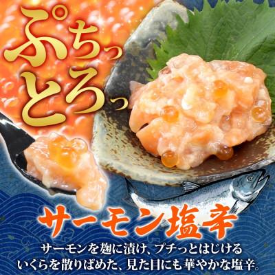 ふるさと納税 弟子屈町 サーモン塩辛 120g瓶×2個 ご飯のおとも 海鮮 北海道 弟子屈町 3112 |  | 01