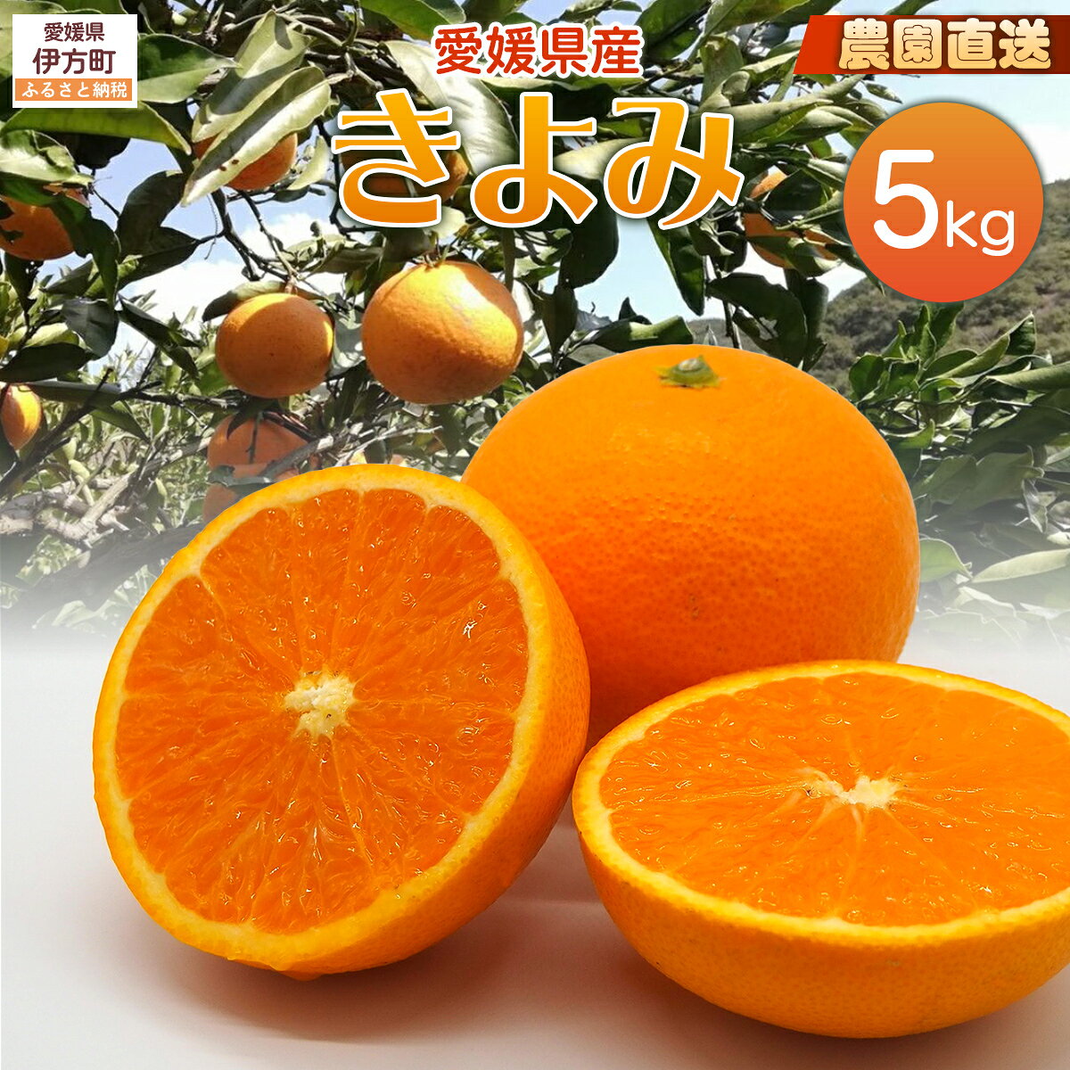 【ふるさと納税】【栽培期間中農薬不使用】【先行受付】【数量限定】農園直送！愛媛県産 きよみ 5kg （2026年2月下旬頃より順次発送） 【ふるさと納税 人気 おすすめ ランキング 柑橘 みかん 蜜柑 きよみ フルーツ 果物 産地直送 ギフト 愛媛県 伊方町 送料無料】 IKTG021