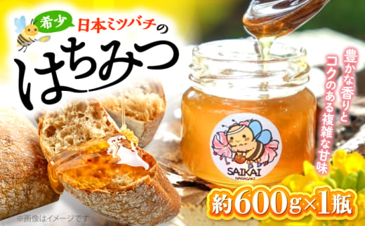 蜂蜜 はちみつ 【希少な日本ミツバチ】 国産 蜂蜜 約600g ～西海からの贈り物～＜おばま養蜂農園＞ [CFY001]  長崎 西海 蜂蜜 はちみつ ハチミツ 蜂蜜 はちみつ ハチミツ 国産蜂蜜