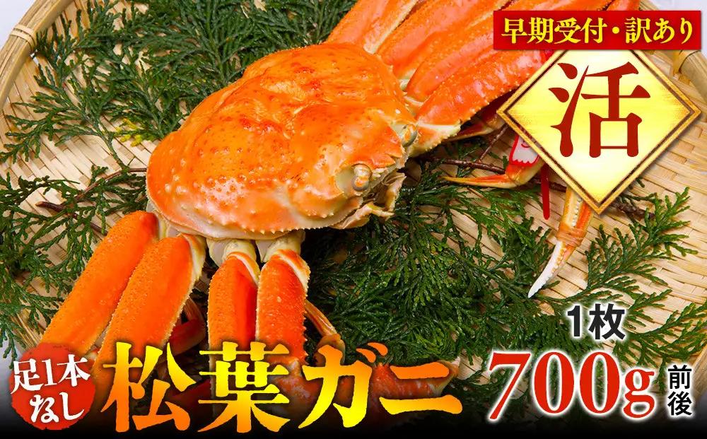 【早期受付】【活】足1本なし 訳あり 松葉ガニ 中1枚（700g前後）※着日指定不可※2026年11月上旬頃から順次発送予定 松葉ガニ