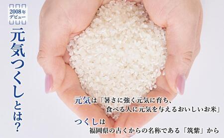 【令和8年度新米】先行予約受付 数量限定 白米(特別栽培農産物)元気つくし 5kg×2袋 (計10kg)