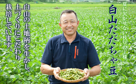 数量限定【令和6年産先行予約】 白山だだちゃ豆　4kg+200g 鶴岡市白山産　長五郎