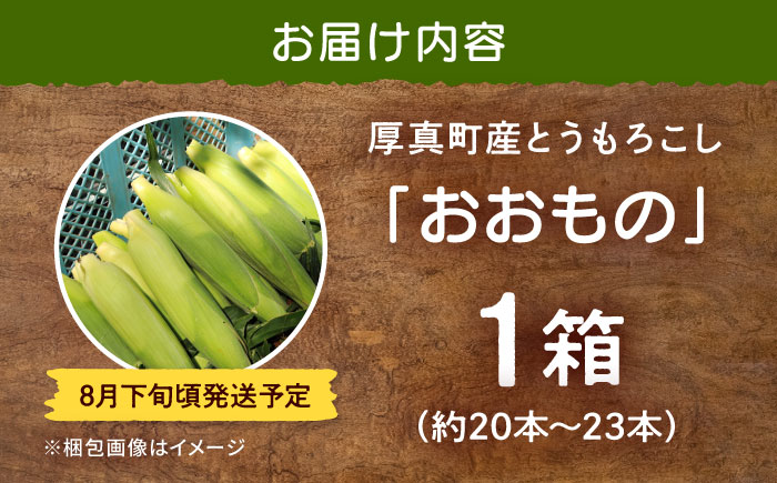 【2026年8月下旬発送予定】北海道厚真産とうもろこし おおもの 《厚真町》【(株)厚真ファーム】旬の野菜 夏野菜 大粒 高糖度 甘い トウモロコシ トウキビ 唐黍 コーン [AXAE001] 150