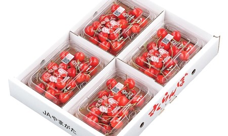 山形市産 さくらんぼ 佐藤錦 L以上 720g(180g×4パック) バラ詰め 【令和9年産先行予約】FS26-629