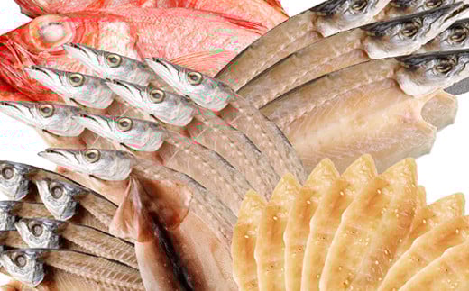 
                  【 定期便 年4回 】 干物 詰め合わせ みりん干し セット フグ ふぐ カマス 鯵 アジ あじ カマス かます 金目鯛 タイ たい 海洋深層水 甘塩仕立て 国産 魚介 冷凍 お取り寄せ グルメ 高知県 室戸市
                