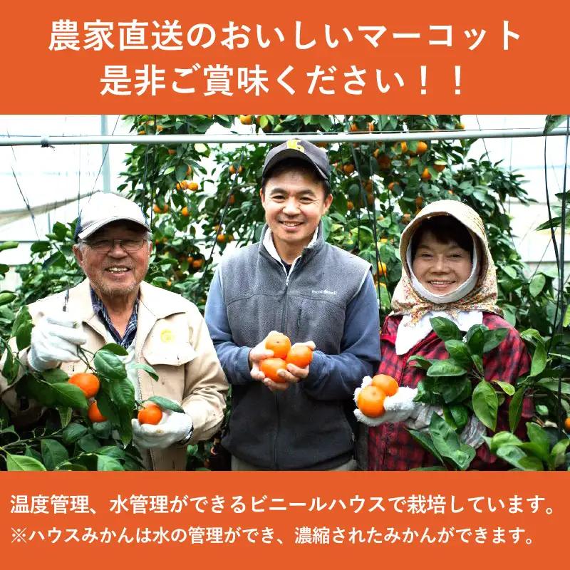 『先行予約』【令和9年2月中旬発送】マーコット（ハウス栽培）唐津産 5kg みかん ミカン 果物 フルーツ
