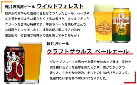 【定期便9カ月】長野県佐久市のクラフトビール6種24本よなよなエールと飲み比べビールセット