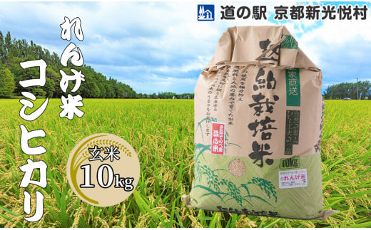 【新米】【道の駅 京都新光悦村】れんげ米コシヒカリ「玄米」10kg[髙島屋選定品］021N527 【令和６年産新米予約】