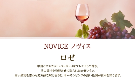 ロゼワイン 2種 セット Liaison NOVICE 720ml 各1本 計2本 フルボトル リエゾン ノヴィス 甲州 ベーリーA 辛口 日川中央葡萄酒 山梨県 笛吹市 177-7-22