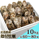 【ふるさと納税】殻付牡蠣 10kg｜朝どれ 生牡蠣 かき 大容量 産地直送 濃厚 冷蔵 新鮮 旬 広島県 宮島 瀬戸内海 国産 加熱調理用 ふるさと ランキング 人気 [1747]