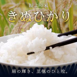 令和6年度産 きぬひかり10kg ※お届け日指定不可※ / 白米 お米 キヌヒカリ 由良町 精米 和歌山【jahd009】