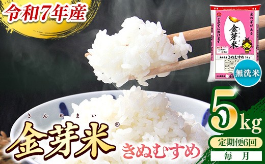 
                  【定期便】BG無洗米・金芽米きぬむすめ 5kg×6ヵ月 （毎月）【令和7年産 6ヶ月 時短 健康 米 BG 無洗米 計30kg 精米 半年間 島根県産  節水 時短 アウトドア キャンプ 東洋ライス おすすめ 島根県 安来市】【価格改定】
                