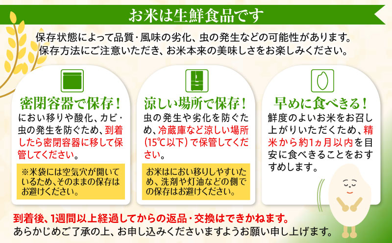 《令和7年産》宮崎県産コシヒカリ 合計10kg(5kg×2袋) お米 精米 新米