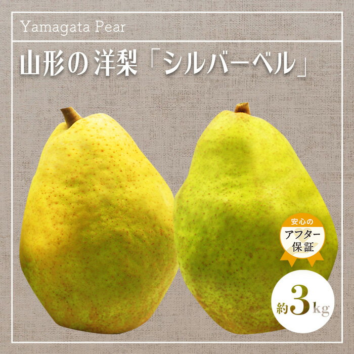 【ふるさと納税】 ＜ 2025年 発送＞ 山形の洋梨「シルバーベル」約3kg 【12月発送】 アフター保証対象 洋梨 3kg 山形県 山形 令和7年度 R7 ふるさと 人気 ランキング フルーツ 果物 _H090(R7)