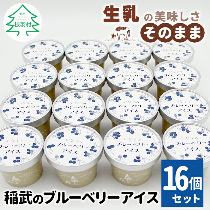 【ふるさと納税】無農薬 除草剤不使用！ 30品種をブレンドした ブルーベリー アイス16個入り80ml 生乳 ブルーベリー ソース ソフトクリーム アイスクリーム アイス ブルーベリーアイス 無農薬 フルーツアイス スイーツ 人気 ギフト 10000円