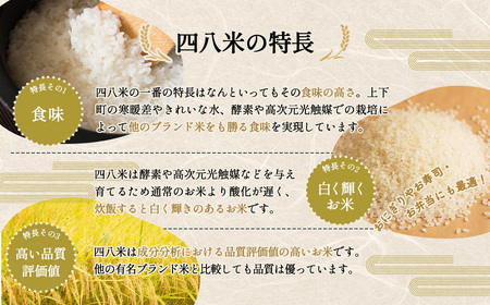 【四八米】酵素プレミアム　5kg No.288