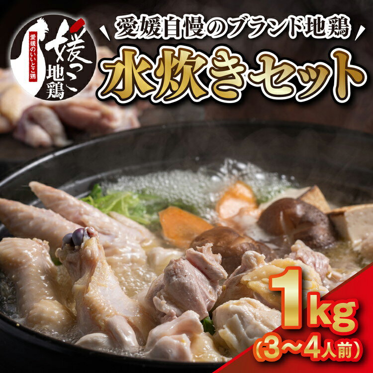 【ふるさと納税】媛っこ地鶏 水炊き用セット（3〜4人前）｜ モモ ムネ 手羽先 手羽元 特製スープ 愛媛県 久万高原町 久万山養鶏研究所 地鶏 鶏肉 肉 食感 旨み ヘルシー 和風 鍋 水炊き コラーゲン お取り寄せ グルメ 国産 冷蔵 ※北海道・沖縄・離島への配送不可