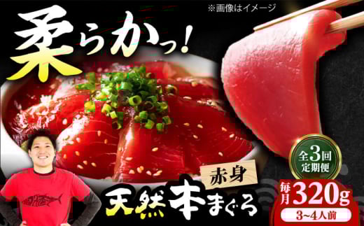 【全3回定期便】極上！たね熟天然本まぐろ赤身(320g) 天然 マグロ 鮪 赤身 刺身 魚 魚介 魚介類 海鮮丼 本マグロ 本まぐろ 本鮪 赤身 大トロ 冷凍 お刺身 お寿司 大阪府高槻市/本まぐろ直売所 [AOCE013] 本マグロ 寿司 海鮮 旨み 脂のり 切り身 鮮度抜群 海鮮丼 お取り寄せ 高級魚 ギフト 贈答用 海の幸 家飲み ごちそう おつまみ 炙り丼 手巻き寿司 お祝い パーティー
