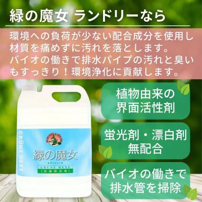 ふるさと納税 龍ケ崎市 緑の魔女ランドリーリピーターセット(洗濯洗剤+柔軟剤)【沖縄・離島配送可能】皆様のご要望で製品開始 |  | 02