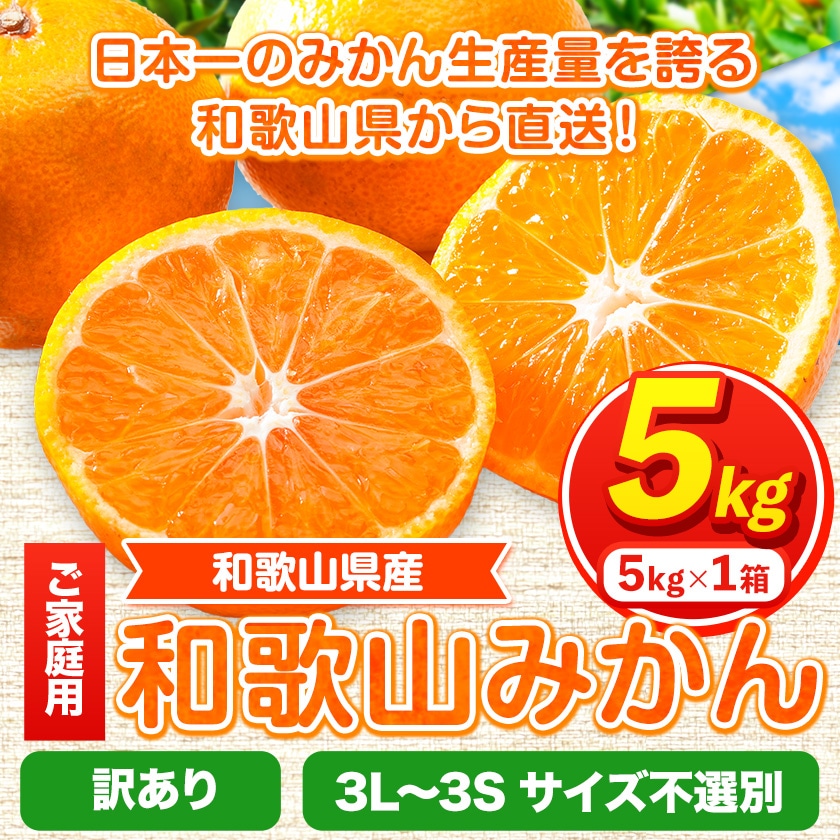 訳あり 和歌山みかん 約5kg 5キロ 和歌山県産 《2025年11月中旬-1月中旬頃出荷》たっぷり ご家庭用 2L～2S 産地直送 みかん 旬 蜜柑 ミカン 柑橘 果物 フルーツ 和歌山県 紀の川市