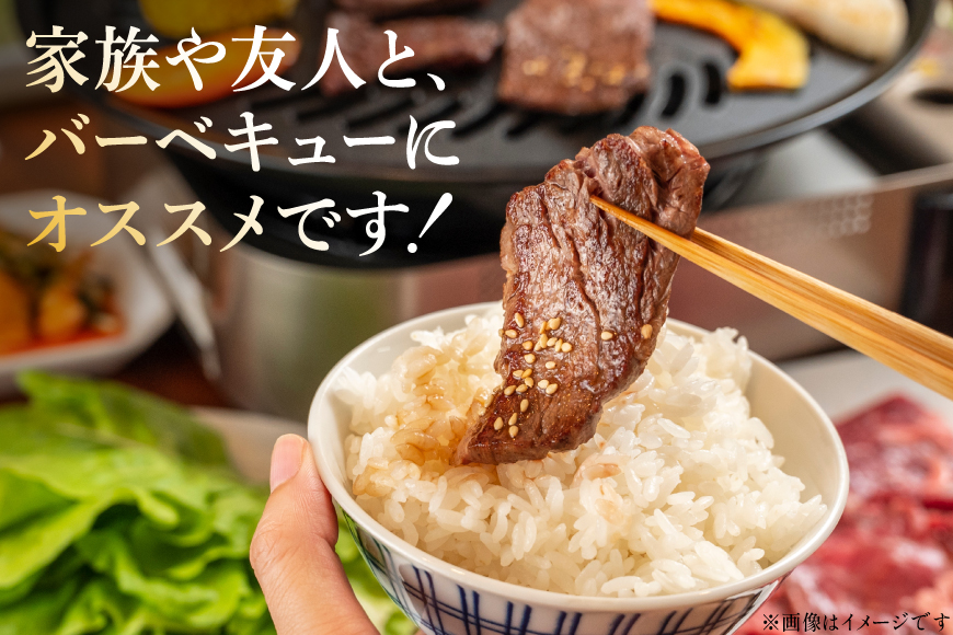 牛肉 味付き 牛ハラミ 300g 3P 計900g [からくわ精肉店 宮城県 気仙沼市 20566103] 牛 肉 焼肉 ハラミ 熟成手造りたれ 小分けパック 小分け 冷凍